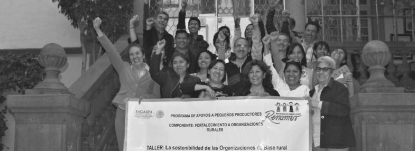 Organizational Development Training for RENAMUR/Fundación Merced (Mexico City)